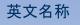 英文名称